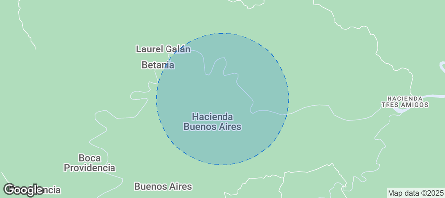 Discover San Carlos Airbnb Analytics